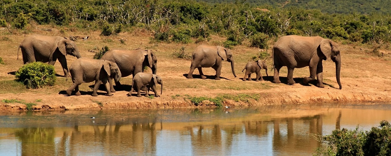 加布里埃尔·巴托里尼：2024年的CloudNativePG：里程碑、创新与反思