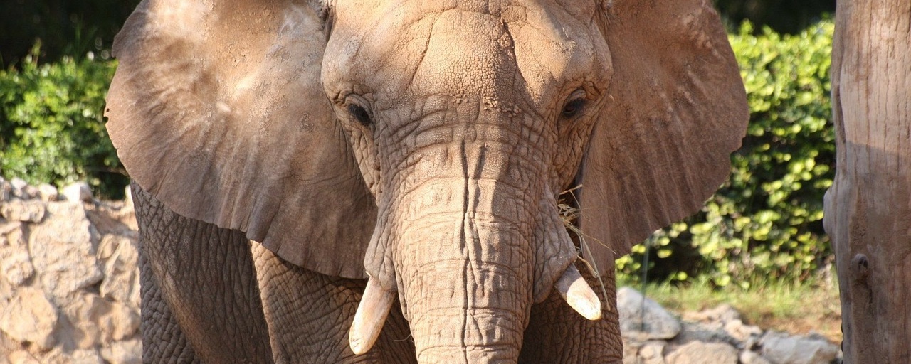 加布里埃尔·巴托利尼：CNPG 食谱 16 - 在同步复制中平衡数据持久性与自愈能力