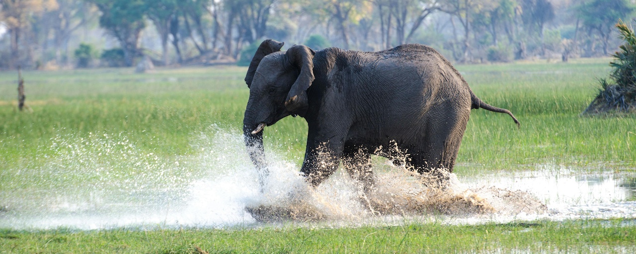 加布里埃尔·巴托利尼：庆祝CloudNativePG获得5000颗GitHub星