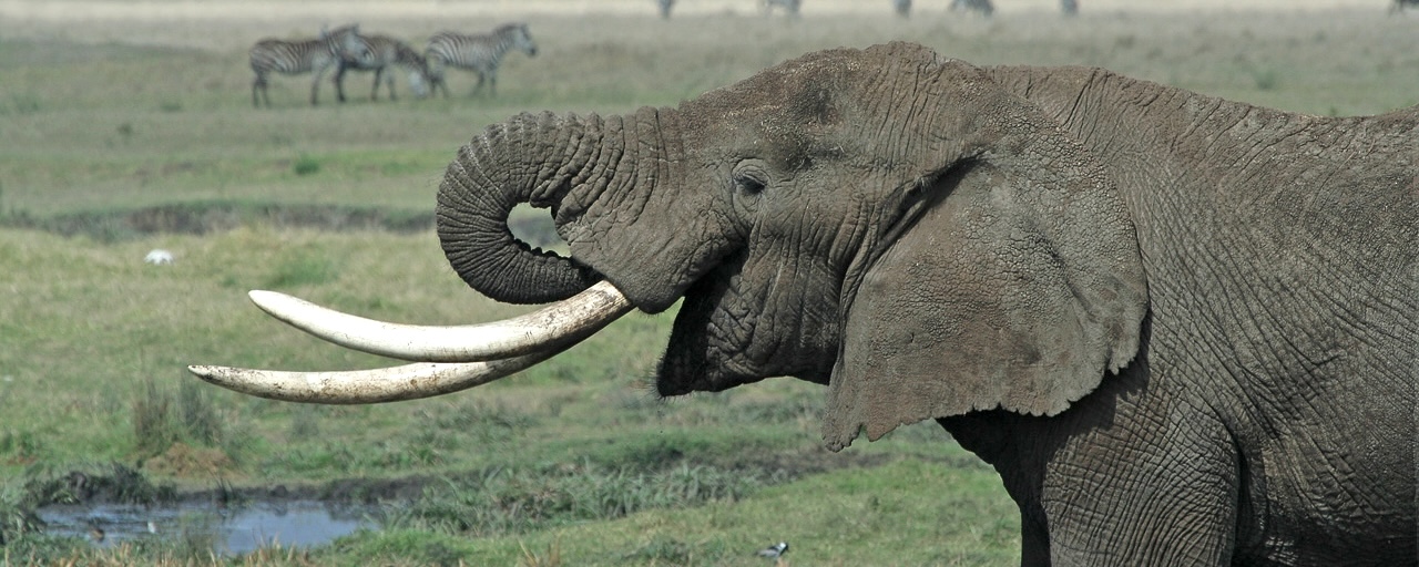 加布里埃尔·巴托利尼:CNPG 配方 20 – 通过就绪探针对 PostgreSQL 集群进行更精细的控制