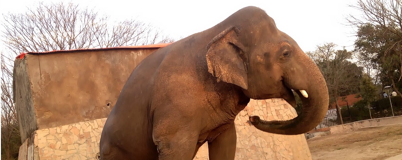 加布里埃尔·巴托利尼：CNPG 食谱 21 – 通过存活探针对 Postgres 集群进行更精细的控制